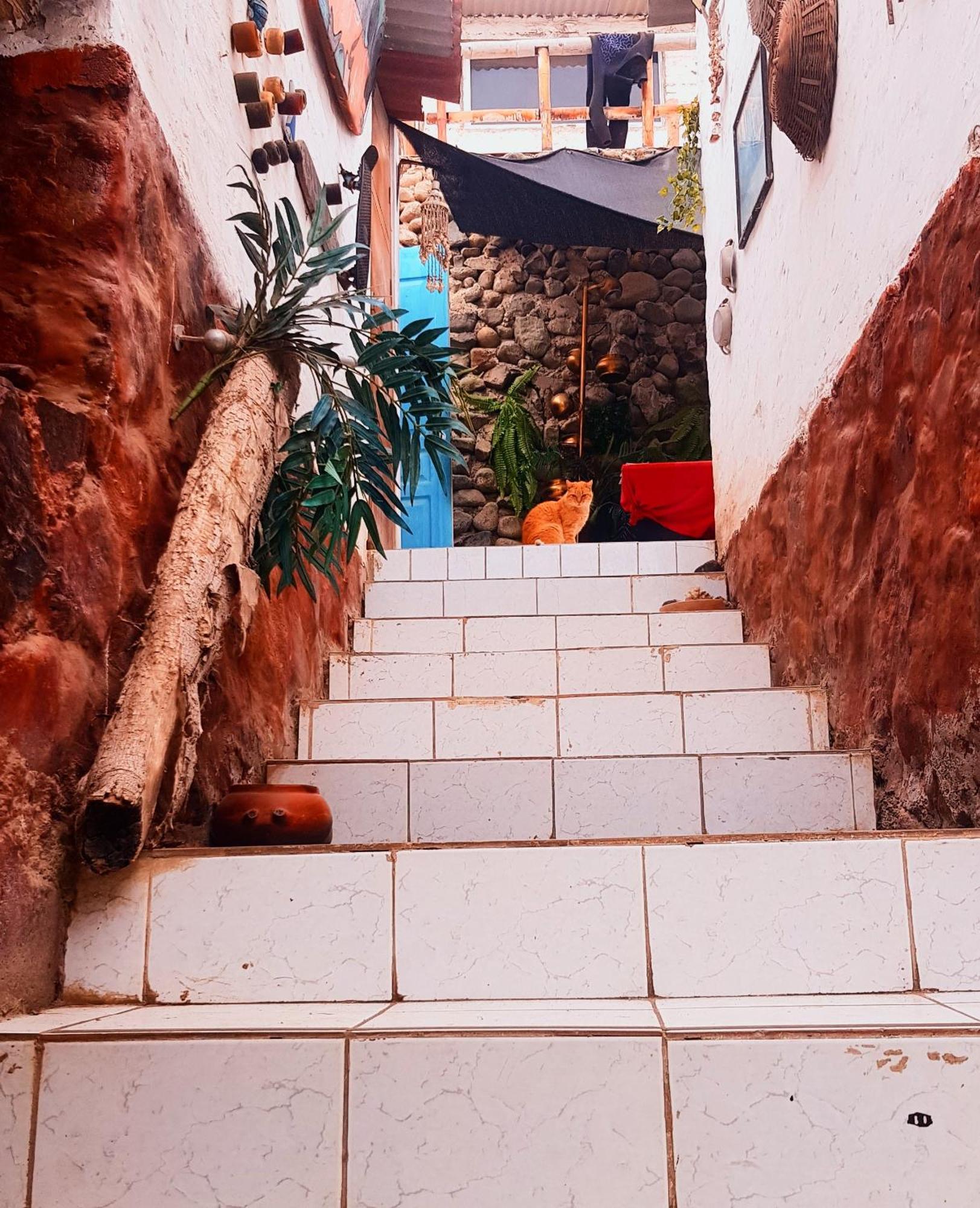 Huanchaco Surf Campアパートメント エクステリア 写真